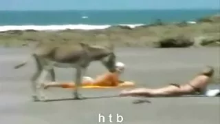 Jauni Tīņi filmu savu seksu uz bezmaksas erotiskie video zāli uz video kameru