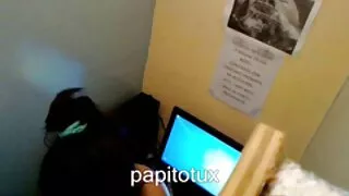 Kral trascorre erotiskie video