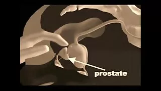 Lapdance kuce Puisis Izdrāž erotiskie video burkānu un gailis
