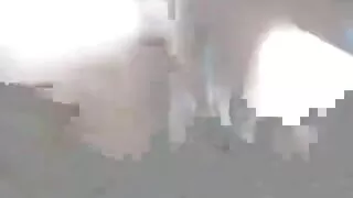 Skaistums ir laimīgs, lai izbaudīt gailis citu bezmaksas erotika mīļāko